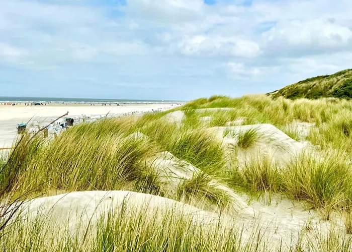 Апартаменты Friesenhaus - 6 *